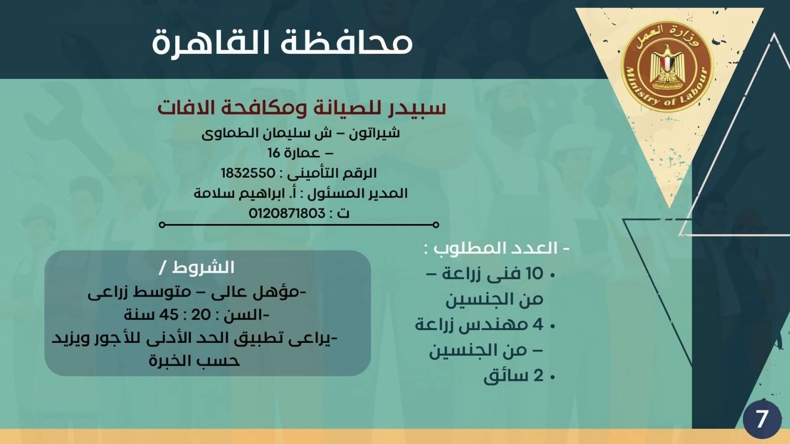 نشرة التوظيف وزارة العمل