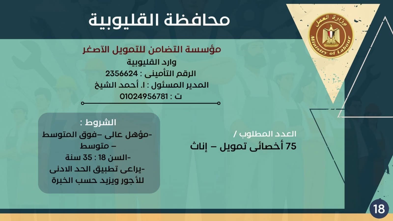 نشرة التوظيف وزارة العمل