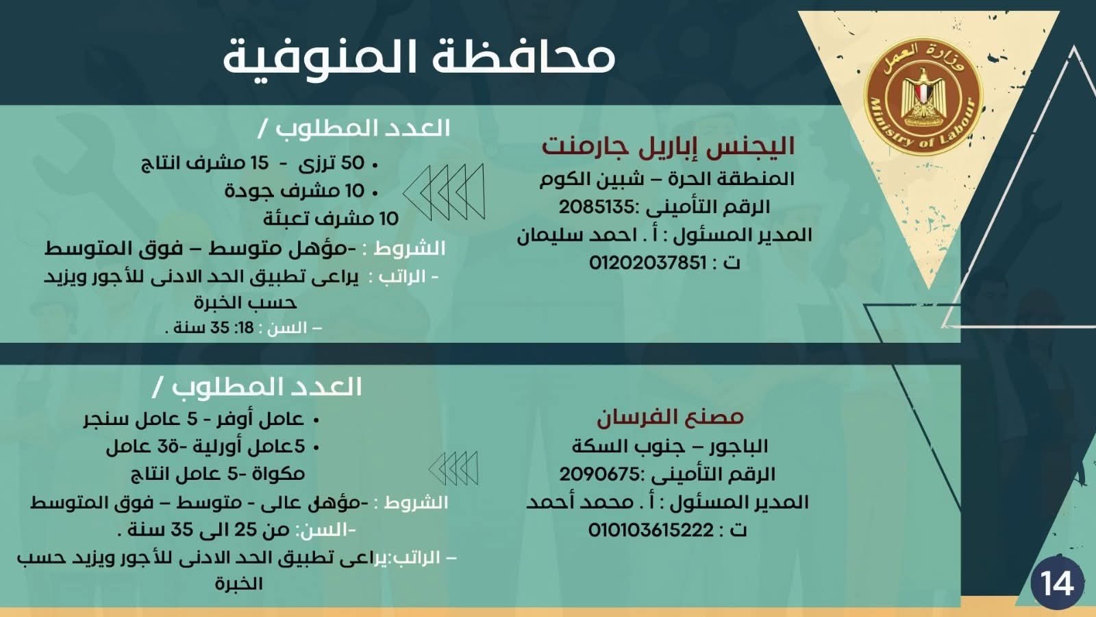 نشرة التوظيف وزارة العمل