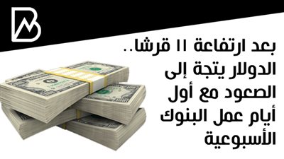 بعد ارتفاعة 11 قرشا.. الدولار يتجة إلى الصعود مع أول أيام عمل البنوك الأسبوعية
