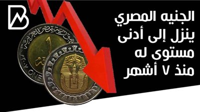  الجنيه المصري ينزل إلى أدنى مستوى له منذ 7 أشهر