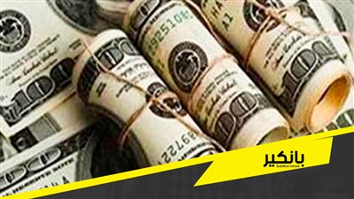 ارتفاع فى اسعار الدولار مقابل الجنيه اليوم 