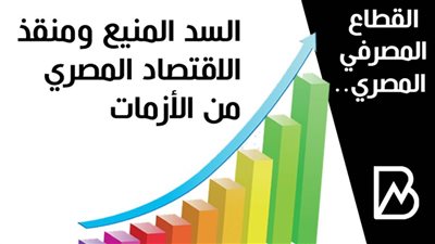 القطاع المصرفي المصري.. السد المنيع ومنقذ الاقتصاد المصري من الأزمات