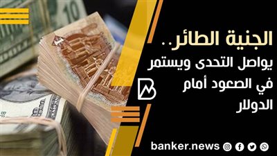 الجنية الطائر.. يواصل التحدى ويستمر في الصعود أمام الدولار
