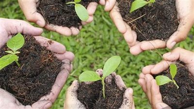 المسئولية الاجتماعية.. سبيل الشركات للتغلب على تحديات أزمة فيروس كورونا