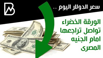 سعر الدولار اليوم .. الورقة الخضراء تواصل تراجعها امام الجنيه المصرى