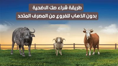 طريقة شراء صك الاضحية بدون الذهاب للفروع من المصرف المتحد | فيديو 