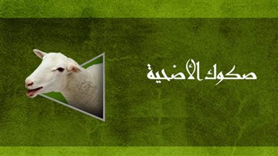 متوفر في 14 بنكا.. اعرف كيف تشتري صك الأضحية