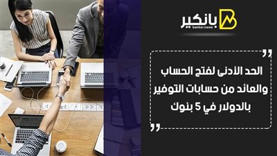 جميع تفاصيل فائدة حسابات التوفير بالدولار في 5 بنوك مصرية |فيديو 