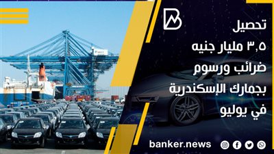 تحصيل ٣,٥ مليار جنيه ضرائب ورسوم بجمارك الإسكندرية في يوليو