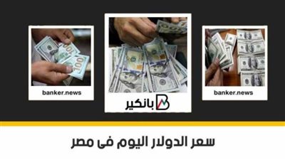 سعر الدولار اليوم .. الورقة الخضراء تستقر فى البنوك بنهاية التعاملات 