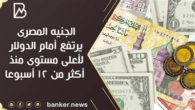 الجنيه المصرى يرتفع أمام الدولار لأعلى مستوى منذ أكثر من 12 أسبوعا 