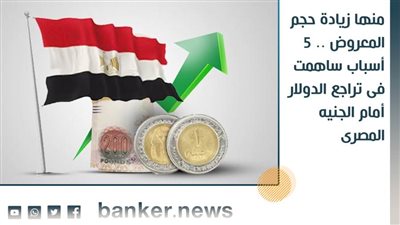 منها زيادة حجم المعروض .. 5 أسباب ساهمت فى تراجع الدولار أمام الجنيه المصرى 