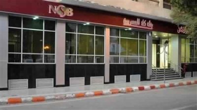 قرض حسن يصل إلى 20 ألف جنيه بدون فوائد للمرأة المصرية