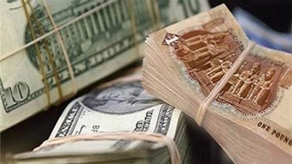 سعر الدولار اليوم