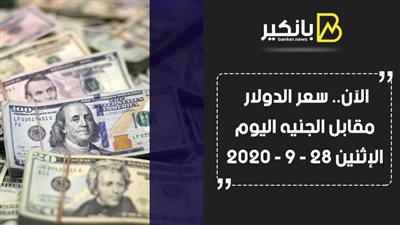 تحديثك.. سعر الدولار اليوم في مصر تحديث يومي الورقة الخضراء مستقرة