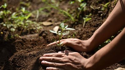  ماستركارد ترحب بانضمام إكسبو 2020 دبي إلى التحالف من أجل كوكبنا الثمين