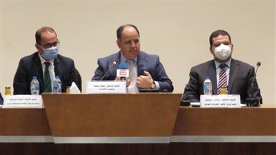 صور | وزير المالية: عقب الإدلاء بصوته..  لولا الاستقرار السياسى ما تحقق التقدم الاقتصادى