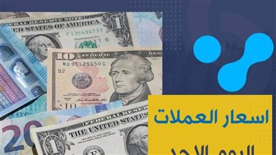 اسعار العملات فى بنك مصر اليوم الأحد 1/ 11 /2020