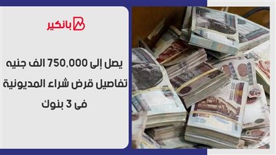 يصل إلى 750,000 الف جنيه.. تفاصيل قرض شراء المديونية فى 3 بنوك 