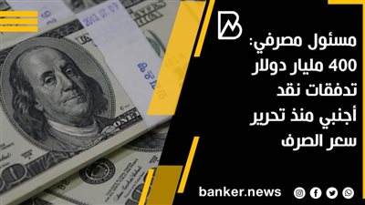 مسئول مصرفي: 400 مليار دولار تدفقات نقد أجنبي منذ تحرير سعر الصرف