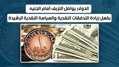 فيديو | الدولار يواصل النزيف أمام الجنيه بفعل زيادة التدفقات النقدية والسياسة النقدية الرشيدة