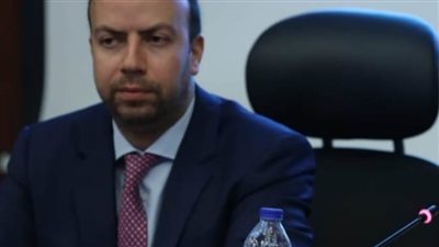 أبو النجا: بناء الاحتياطيات الدولية والإصلاحات الهيكلية أهل مصر لمواجهة الصدمات الخارجية