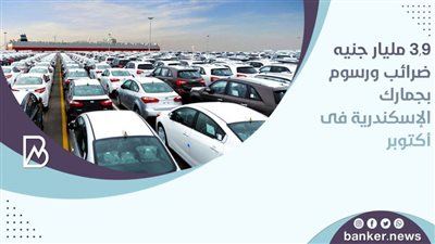 ٣,٩ مليار جنيه ضرائب ورسوم بجمارك الإسكندرية فى أكتوبر 