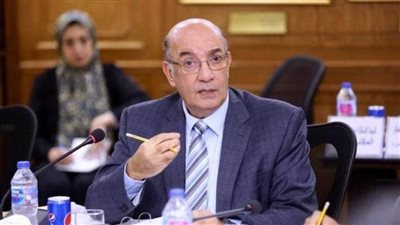 نائب رئيس بنك ناصر الاجتماعي: قدمنا تمويلات بـ21 مليار جنيه خلال العام المالي 2019-2020