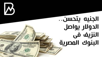 الجنيه يتحسن.. الدولار يواصل النزيف فى البنوك المصرية
