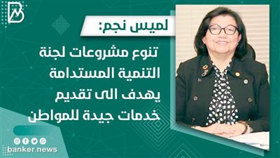 لميس نجم: تنوع مشروعات لجنة التنمية المستدامة  يهدف الى تقديم خدمات جيدة للمواطن