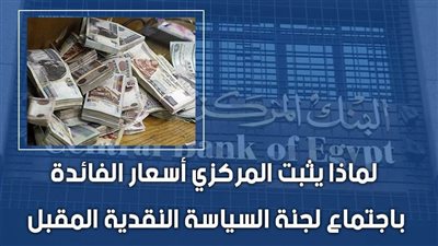 فيديو | لماذا يثبت المركزي أسعار الفائدة باجتماع لجنة السياسة النقدية المقبل