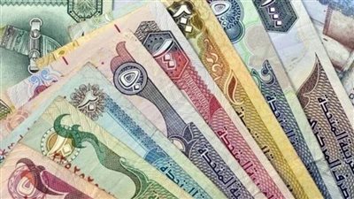 سعر صرف الدرهم الاماراتي مقابل الجنيه المصري اليوم الأربعاء 20 /12 /2020 