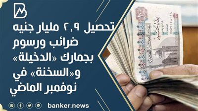تحصيل 2,9 مليار جنيه ضرائب ورسوم بجمارك «الدخيلة» و«السخنة» في نوفمبر الماضي