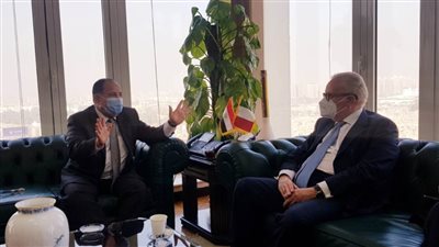 وزير المالية : الاقتصاد المصرى مستقر ومازال قادرًا على مواجهة «كورونا»