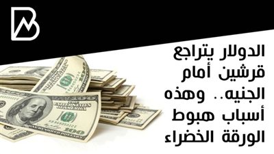 الدولار يتراجع قرشين أمام الجنيه.. وهذه أسباب هبوط الورقة الخضراء