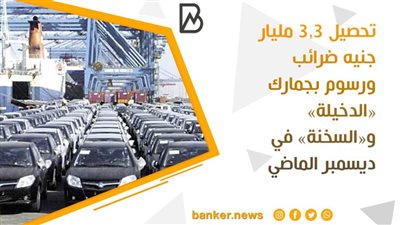 تحصيل ٣,٣ مليار جنيه ضرائب ورسوم بجمارك «الدخيلة» و«السخنة» في ديسمبر الماضي