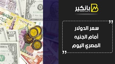 سعر الدولار أمام الجنيه المصري اليوم الثلاثاء 19/ 1 / 2021