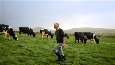  الغذاء الأيرلندي: نتطلع لتعزيز حجم أنشطتنا في مصر واستكشاف مزيد من الشراكات المتبادلة