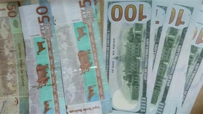 سعر صرف الجنيه السوداني أمام الدولار الأمريكي في السوق السوداء والبنك المركزي اليوم الأربعاء 3 /2 /2021
