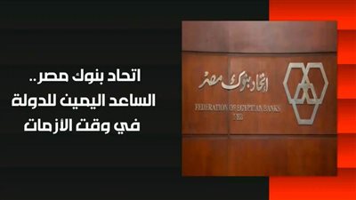 فيديو | اتحاد بنوك مصر.. الساعد اليمين للدولة في وقت الأزمات
