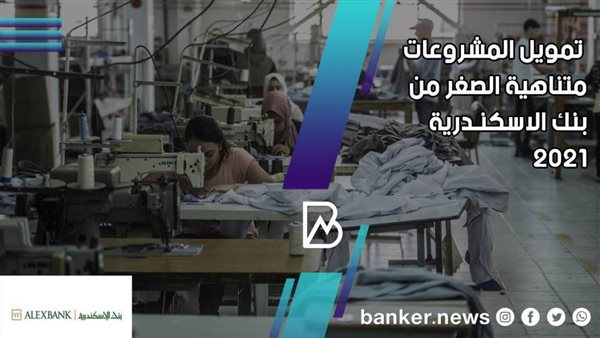 تمويل المشروعات متناهية