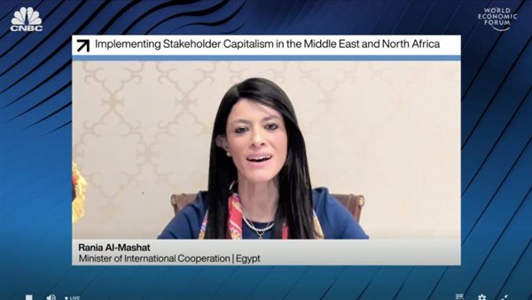 وزيرة التعاون الدولي