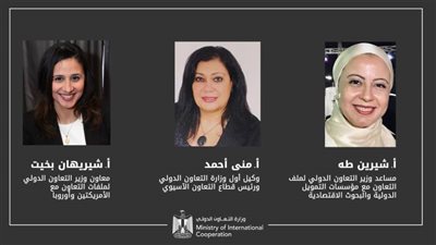 التعاون الدولي: 905 مليون دولار محفظة التمويل التنموي الجارية لمشروعات الحماية الاجتماعية