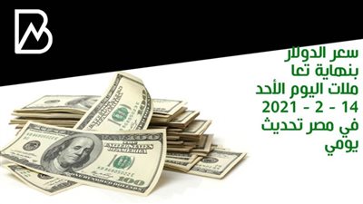سعر الدولار بنهاية تعاملات اليوم الأحد 14 - 2 - 2021 في مصر تحديث يومي