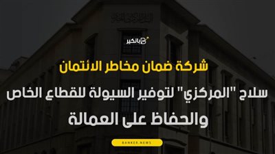 فيديو | شركة ضمان مخاطر الائتمان.. سلاح 