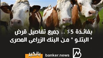 بفائدة 5% .. جميع تفاصيل قرض 
