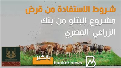 شروط الاستفادة من قرض مشروع البتلو من بنك الزراعي المصري