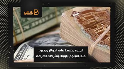 الجنيه يضغط على الدولار ويجبره على التراجع بالبنوك وشركات الصرافة