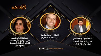 المركزي: نظام التسوية اللحظية متعدد العملات يخفض تكلفة أوامر الدفع بالعملة الأجنبية